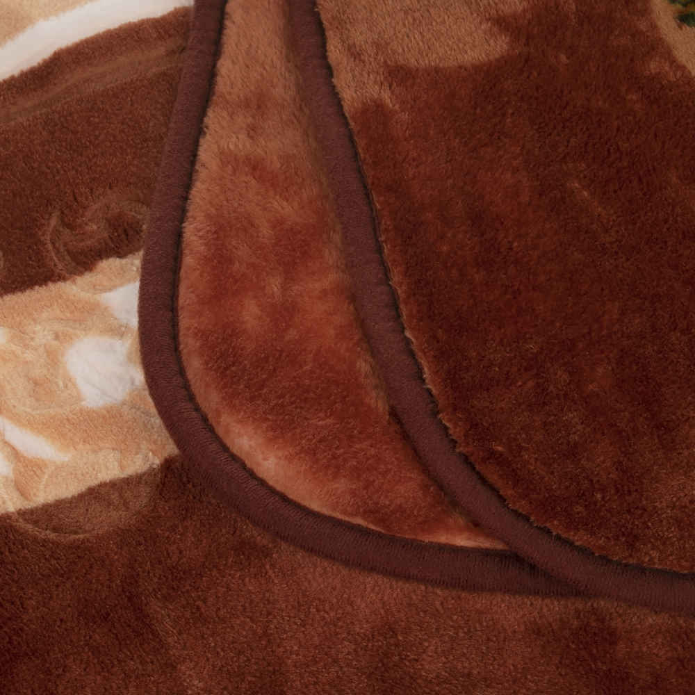 Price and Buy Golbaft Iranian Double Bed Blanket Araz - Image 2