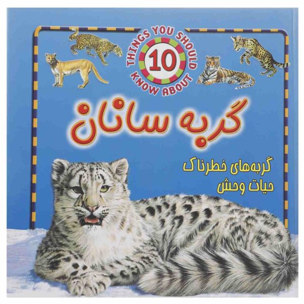 Price and Buy 10 Things You Should Know about Big Cats Book_68fc7e2fd530c.jpeg Price and Buy 10 Things You Should Know about Big Cats Book