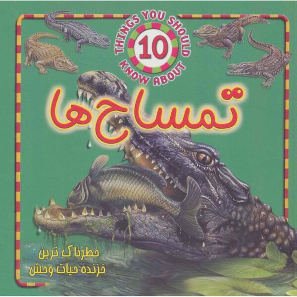 Price and Buy 10 Things You Should Know about Crocodiles Steve Parker (Farsi)_6900441b40f66.jpeg Price and Buy 10 Things You Should Know about Crocodiles Steve Parker (Farsi)