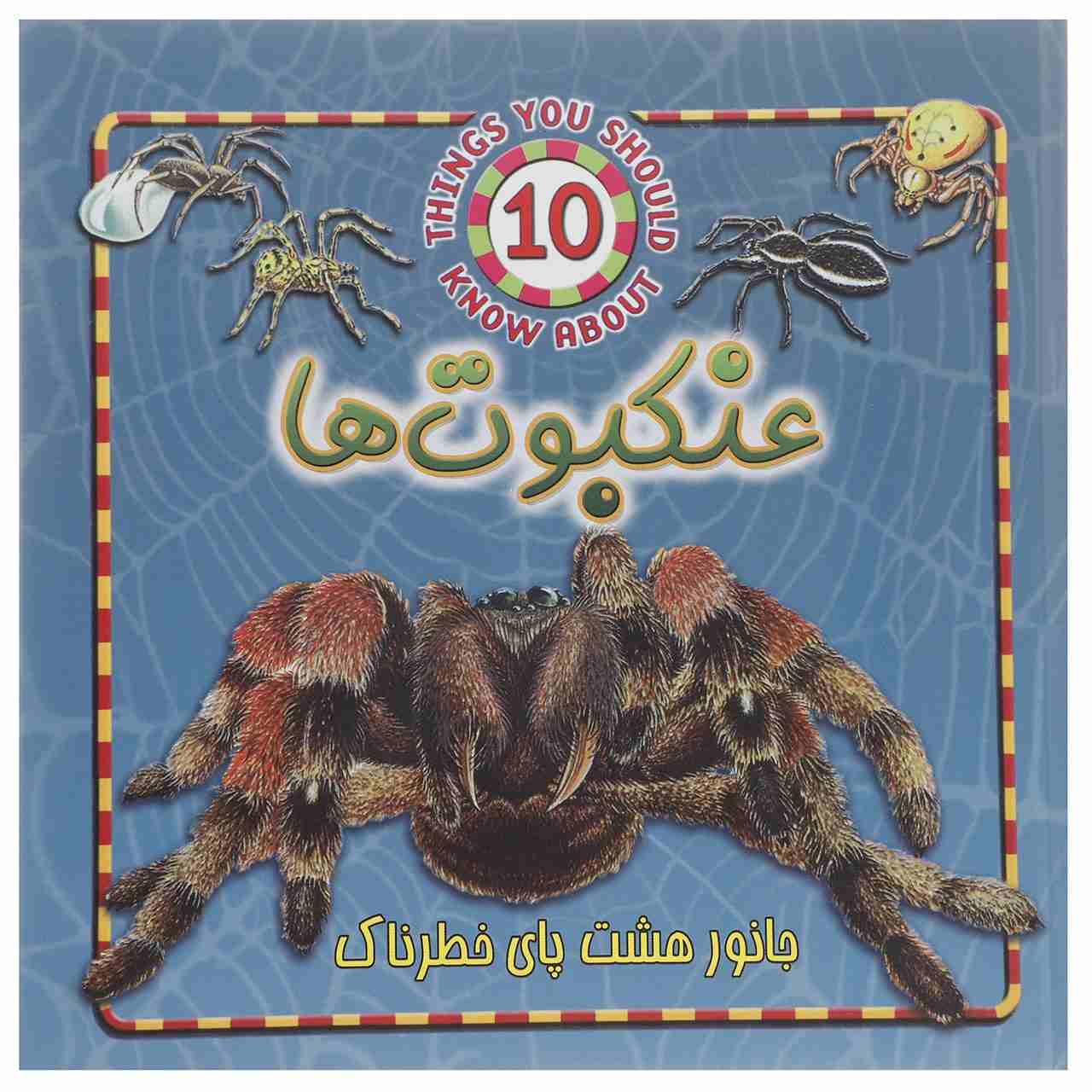 Price and Buy 10 Things You Should Know about Spiders by Steve Parker_68fc7e789ebf7.jpeg Price and Buy 10 Things You Should Know about Spiders by Steve Parker - Image 1