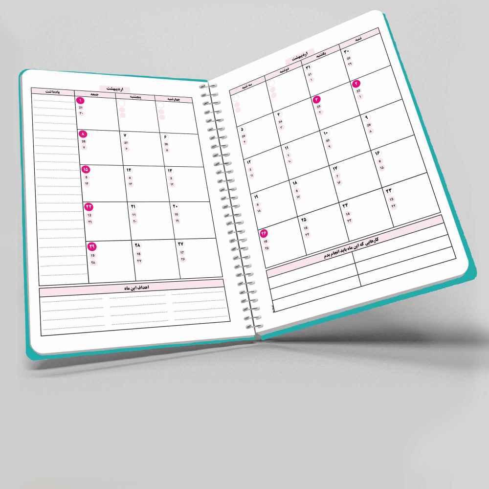 Price and Buy 1403 Persian Daily Planner Calendar Notebook Model Cactus - Image 4