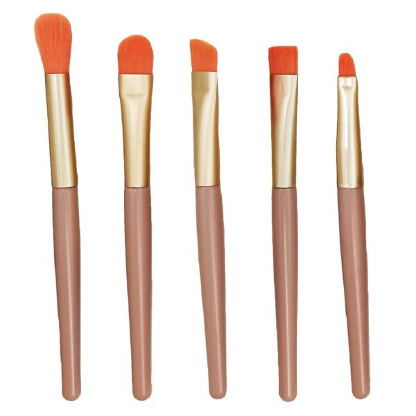 Price and Buy 5-Piece Filbert Bristle Paint Brush Set for Watercolor, Acrylic, & Gouache_68feff1296a97.jpeg Price and Buy 5-Piece Filbert Bristle Paint Brush Set for Watercolor, Acrylic, & Gouache