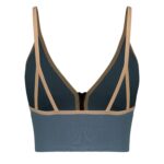 Price and Buy Athletic Crop Top and Panty Set – Front-Zip, Padded, Model 4563 in Blue - Image 3