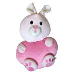 Price and Buy Baby Head Protection Pillow – Pink Rabbit Design For the Safety of Babies