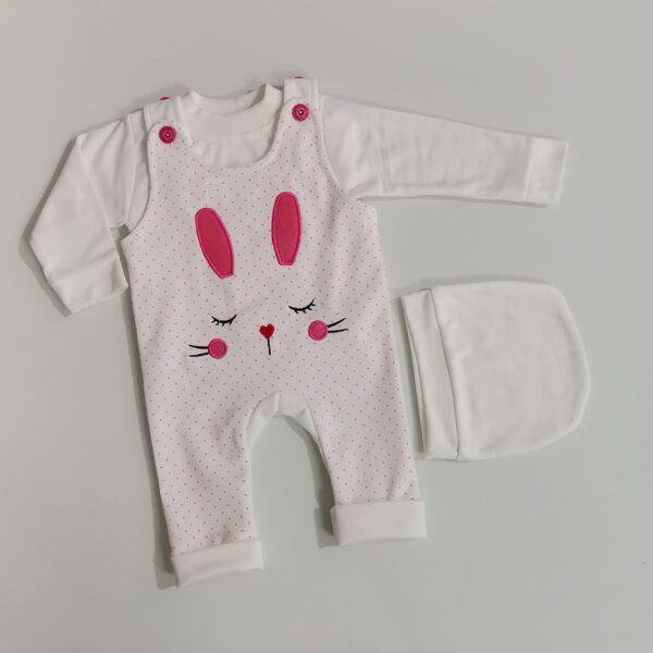 Price and Buy Baby Long Sleeve T-Shirt and Jumpsuit Rabbit Pattern