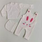 Price and Buy Baby Long Sleeve T-Shirt and Jumpsuit Rabbit Pattern - Image 3