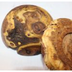 Price and Buy Beautifully Crafted Wooden Sugar Bowl – Elegant and Practical - Image 4