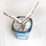 Price and Buy Blue Handmade Candle, The Spirit of the Ocean in Every Flam - Image 3