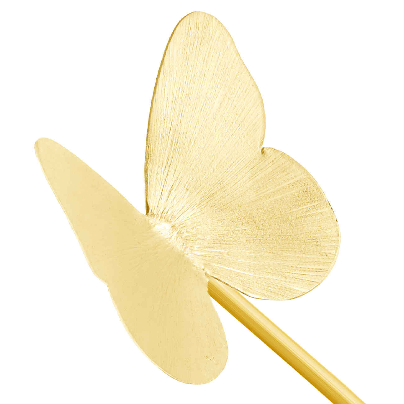 Price and Buy Brass Nut Serving Spoon Butterfly Design in Golden - Image 4
