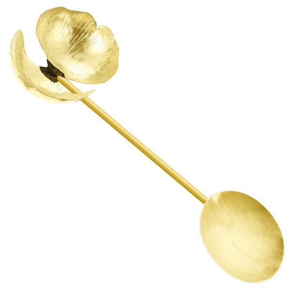 Price and Buy Brass Nut Serving Spoon with Orchids Design_68ff866570e4f.jpeg Price and Buy Brass Nut Serving Spoon with Orchids Design