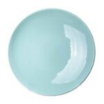 Price and Buy Ceramic Dinnerware Plate – Durable, Elegant and Dishwasher Safe