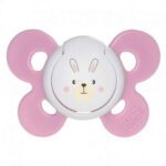 Price and Buy Chicco Bear & Butterfly Orthodontic Pacifier – Cute & Soft Silicone for Babies - Image 3