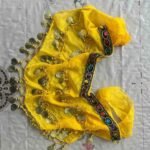 Price and Buy Coin Belly Dance Hip Scarf – Suitable for Belly Dance Performances