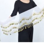 Price and Buy Coin Belly Dance Hip Scarf – Suitable for Party and Stage Wear