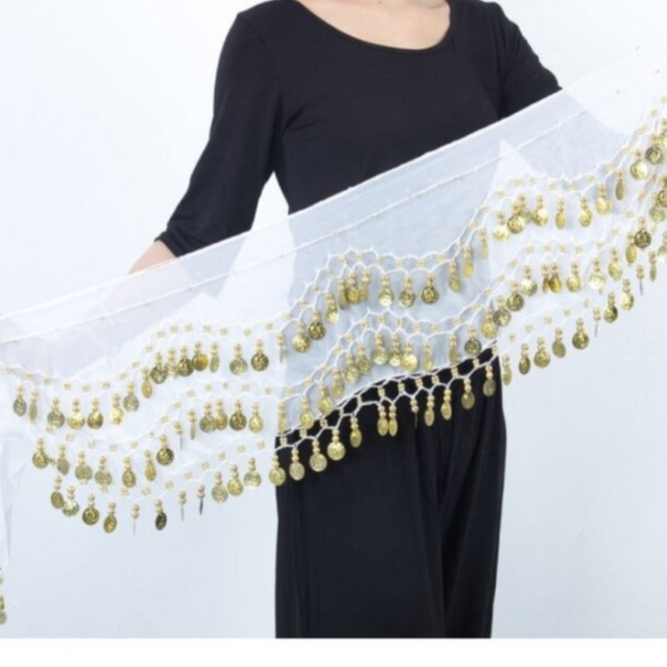 Price and Buy Coin Belly Dance Hip Scarf – Suitable for Party and Stage Wear_690299456e27d.jpeg Price and Buy Coin Belly Dance Hip Scarf – Suitable for Party and Stage Wear - Image 1