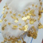 Price and Buy Coin Belly Dance Hip Scarf – Suitable for Party and Stage Wear - Image 3