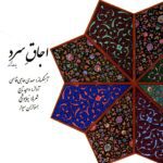 Price and Buy Cold Stove Music Album by Vahid Taj