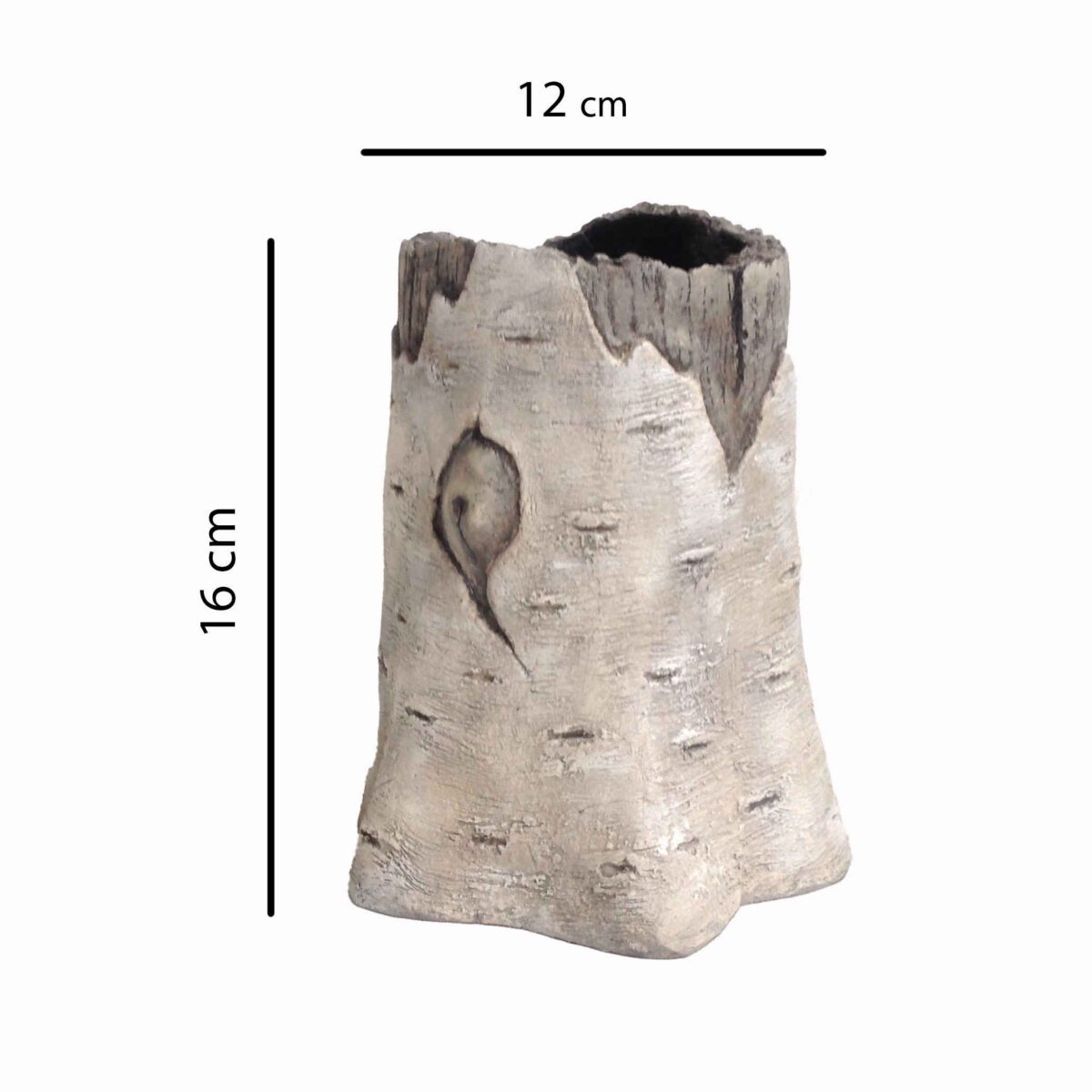 Price and Buy Concrete Vase Handcrafted with Tree Trunk Design - Image 5
