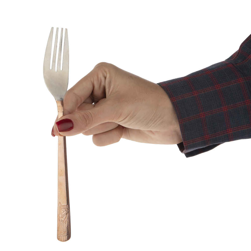 Price and Buy Copper Flatware Set – Spoon and Fork Ghazal (12pcs) - Image 4