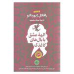 Price and Buy Cupid Has Cardboard Wings Book by Raphaëlle Giordano