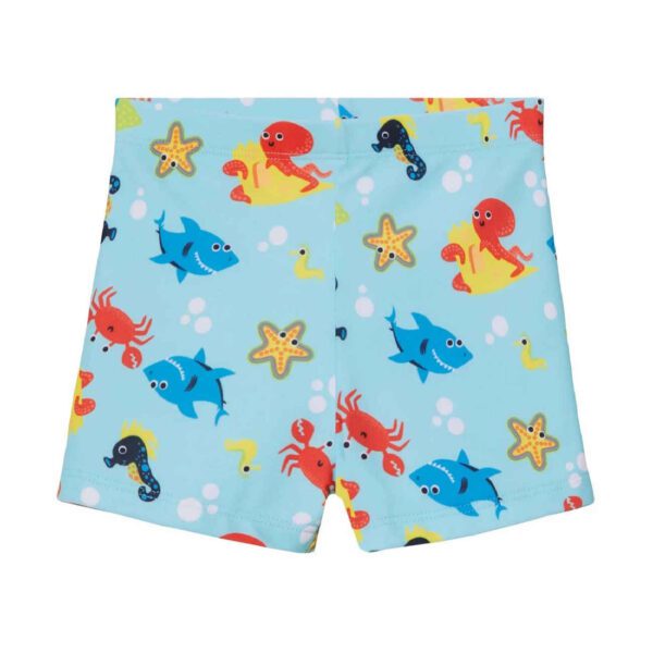 Price and Buy Cute & Comfortable Shark Baby Swimwear – Great for Water Activities_6903874fc0c35.jpeg Price and Buy Cute & Comfortable Shark Baby Swimwear – Great for Water Activities