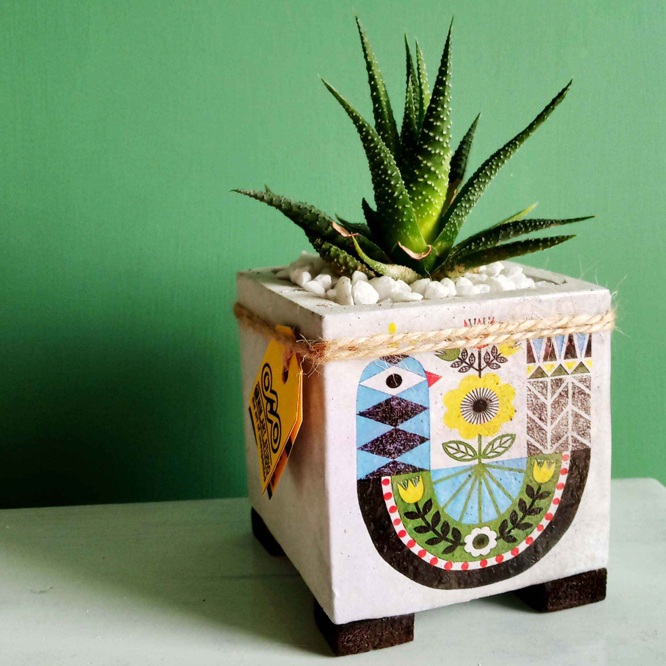 Price and Buy Decorative Persian Square Concrete Vase Model Kabootar - Image 4