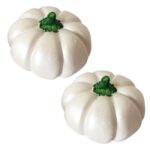 Price and Buy Decorative Pumpkin Ornament Suitable for Mantel and Table Settings, (Set of 2)