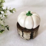 Price and Buy Decorative Pumpkin Ornament Suitable for Mantel and Table Settings, (Set of 2) - Image 3