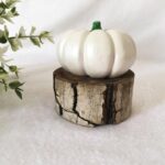 Price and Buy Decorative Pumpkin Ornament Suitable for Mantel and Table Settings, (Set of 2) - Image 4