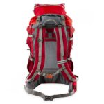 Price and Buy Deuter DU55 Model – 55-Liter Hiking Backpack - Image 3