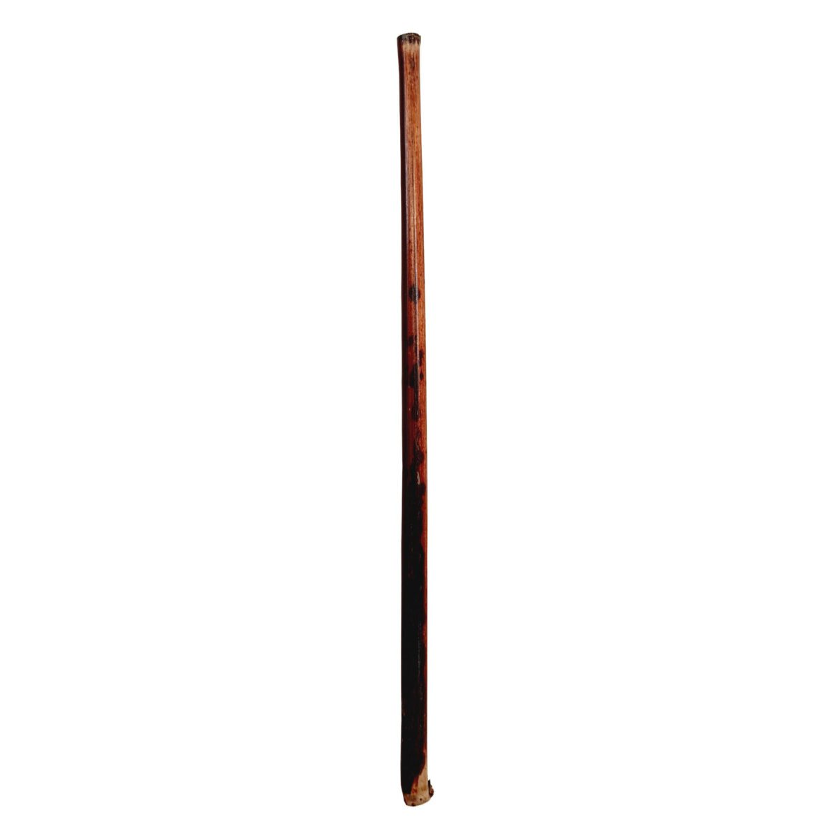 Price and Buy Dezfuli Qalam Reed Pen for Persian, Arabic and Islamic Calligraphy