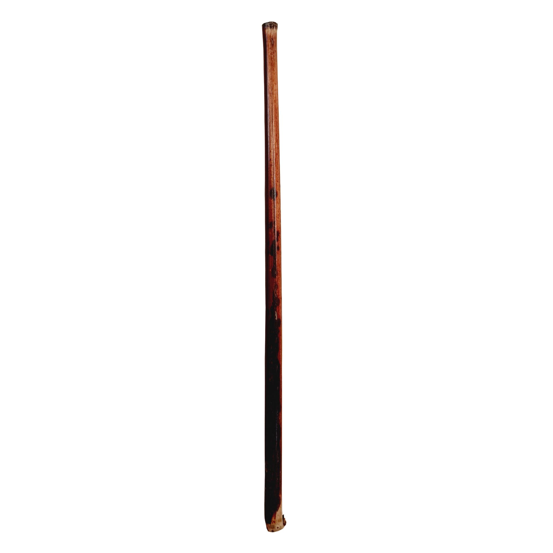 Price and Buy Dezfuli Qalam Reed Pen for Persian, Arabic and Islamic Calligraphy