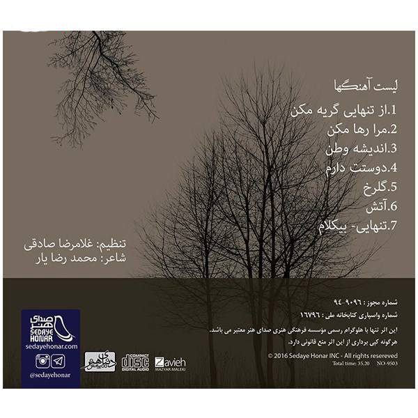 Price and Buy Don’t Cry from Loneliness Music Album by Salar Aghili - Image 5