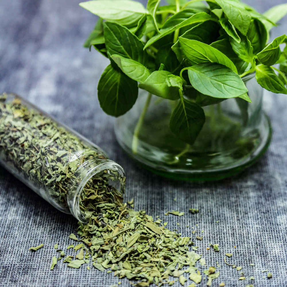 Price and Buy Dried Basil Leaves – 750g Premium Culinary Herb