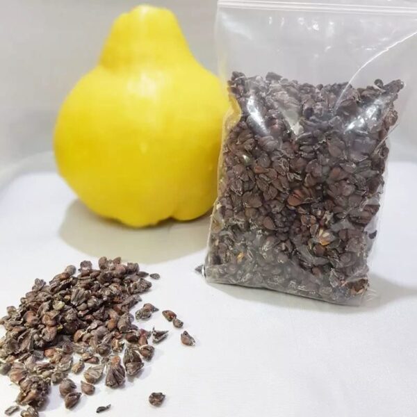 Price and Buy Dried Beedana Quince Seeds – 300g_68fc532bae01f.jpeg Price and Buy Dried Beedana Quince Seeds – 300g