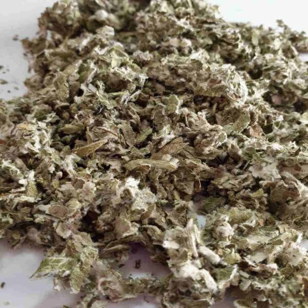Price and Buy Dried Coltsfoot Herb (Tussilago farfara) – 600g Premium Respiratory Support_68f4b01fe921d.jpeg Price and Buy Dried Coltsfoot Herb (Tussilago farfara) – 600g Premium Respiratory Support
