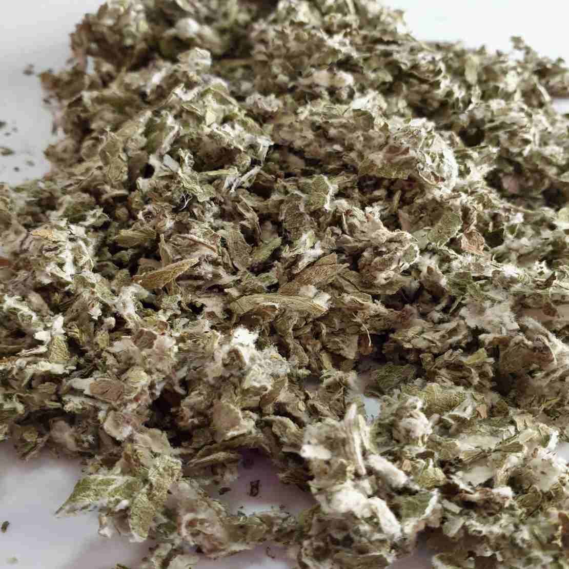 Price and Buy Dried Coltsfoot Herb (Tussilago farfara) – 600g Premium Respiratory Support