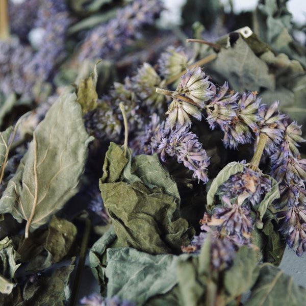 Price and Buy Dried Hyssop Herb (Hyssopus officinalis) – 700g Premium Aromatic Herb_68f4b372c1c70.jpeg Price and Buy Dried Hyssop Herb (Hyssopus officinalis) – 700g Premium Aromatic Herb