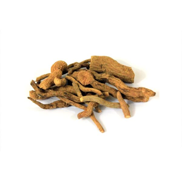 Price and Buy Dried Indian Snakeroot (Rauvolfia Serpentina) – 600g Premium Herbal Supplement_68f4b7f5dfa67.jpeg Price and Buy Dried Indian Snakeroot (Rauvolfia Serpentina) – 600g Premium Herbal Supplement