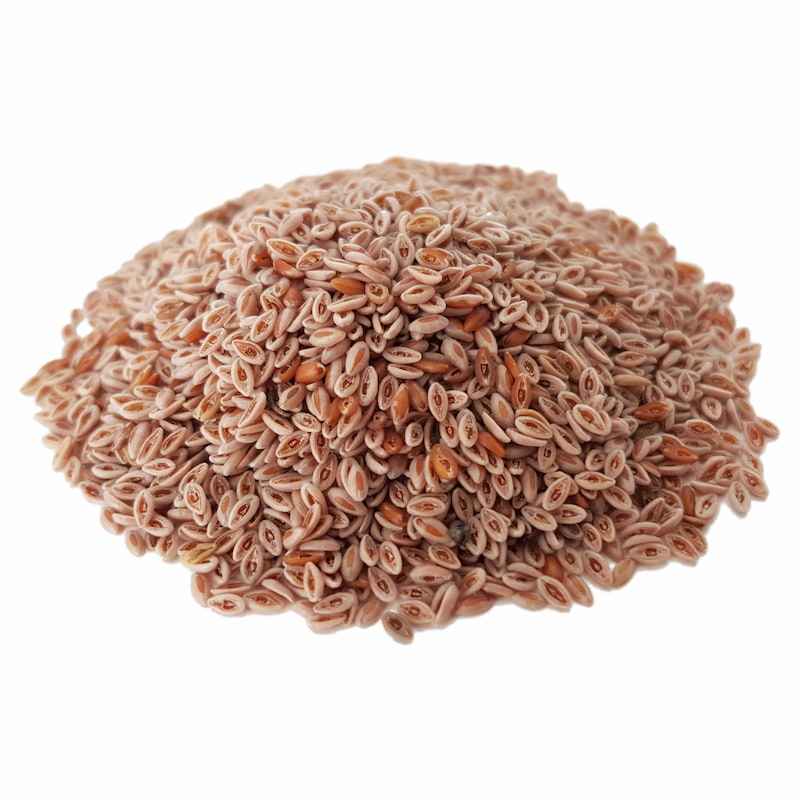 Price and Buy Dried Ispaghula Seeds (Psyllium) – 600 Gram - Image 3
