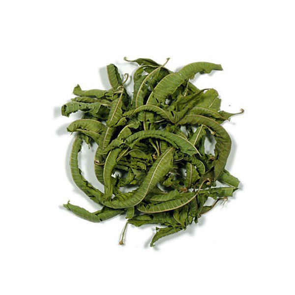 Price and Buy Dried Lemon Beebrush Leaves (Aloysia citrodora) Citrusy Flavor for Tea & Culinary Use 800 Gram_68f4a477409a9.jpeg Price and Buy Dried Lemon Beebrush Leaves (Aloysia citrodora) Citrusy Flavor for Tea & Culinary Use 800 Gram