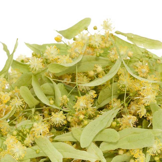Price and Buy Dried Linden Leaves & Flowers 500 Gram - Image 3