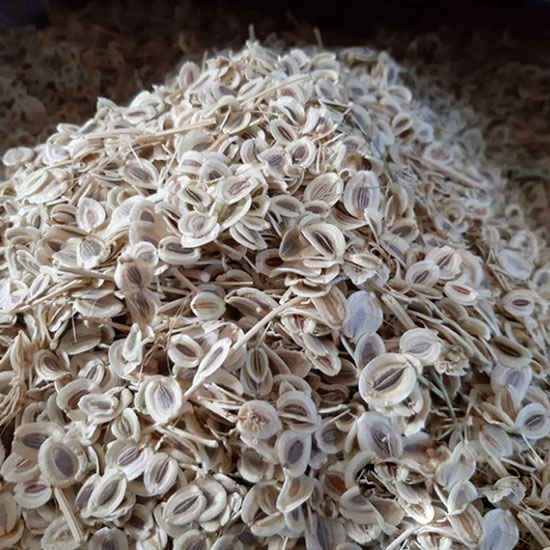 Price and Buy Dried Lovage Seeds – 600g Premium Culinary Spice_68f4b82945d50.jpeg Price and Buy Dried Lovage Seeds – 600g Premium Culinary Spice