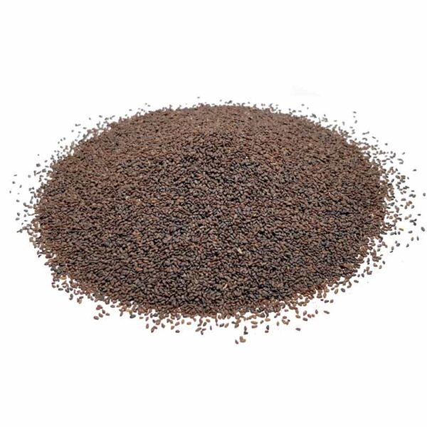 Price and Buy Dried Plantago major Seeds (Plantain) – 600g_68fd8095693f6.jpeg Price and Buy Dried Plantago major Seeds (Plantain) – 600g