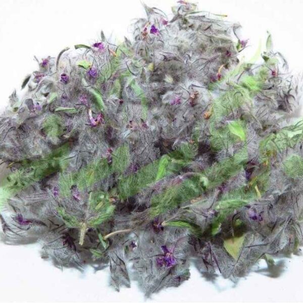 Price and Buy Dried Stachys lavandulifolia Chaye-e-Kohi 800 Gram_68f4a4517779b.jpeg Price and Buy Dried Stachys lavandulifolia Chaye-e-Kohi 800 Gram