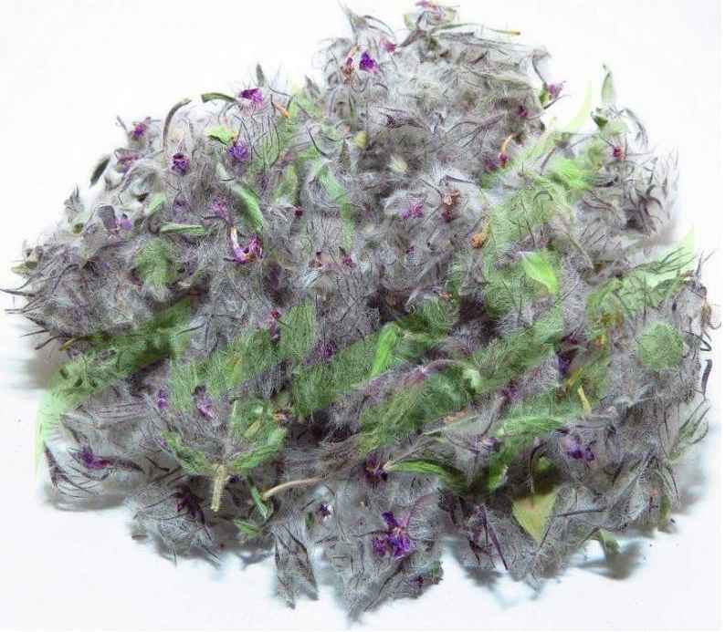 Price and Buy Dried Stachys lavandulifolia Chaye-e-Kohi 800 Gram