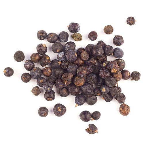 Price and Buy Dried Whole Juniper Berries – 500g Premium Culinary Spice_68f4b3be7dbce.jpeg Price and Buy Dried Whole Juniper Berries – 500g Premium Culinary Spice