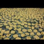 Price and Buy Dry Local Tarkhineh from Kermanshah with Wild Mint – 2000 gr - Image 3