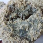 Price and Buy Dry Local Tarkhineh from Kermanshah with Wild Mint – 2000 gr - Image 4