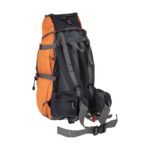 Price and Buy Durable Lightweight 40L Backpack for Long Hikes - Image 3